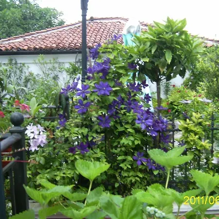 Hotel Alafrangite