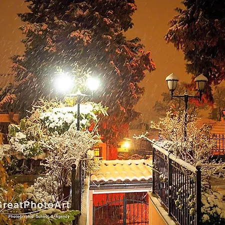 алафрангите