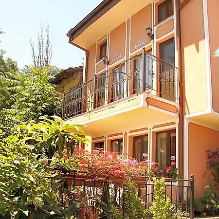 алафрангите 3*