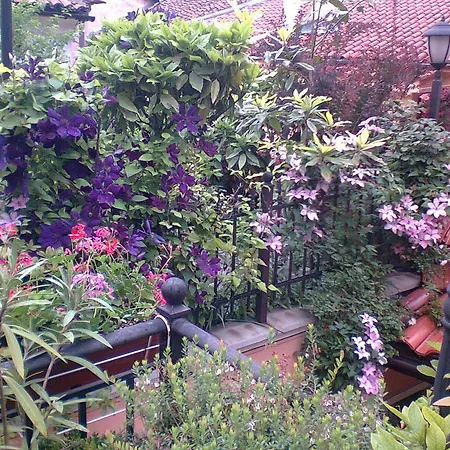 Ξενοδοχείο Alafrangite