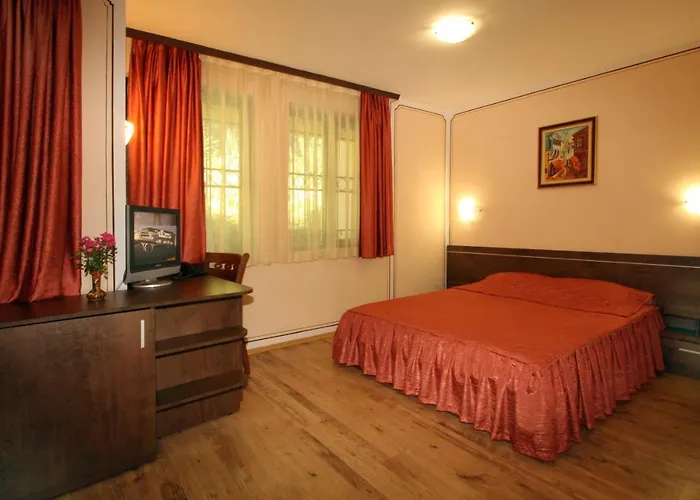 阿拉弗朗吉特酒店 3*