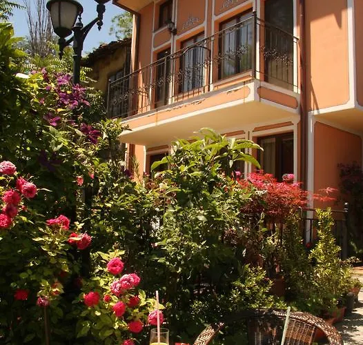 阿拉弗朗吉特酒店 酒店 3*