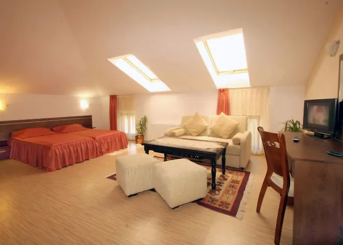 酒店 阿拉弗朗吉特酒店