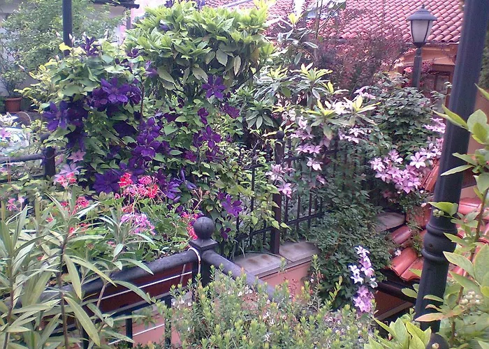 酒店 阿拉弗朗吉特酒店