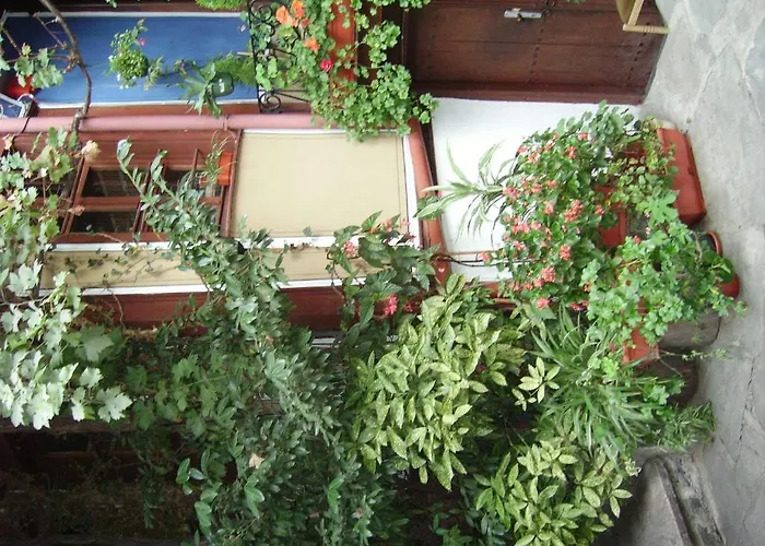 阿拉弗朗吉特酒店 酒店 普罗夫迪夫